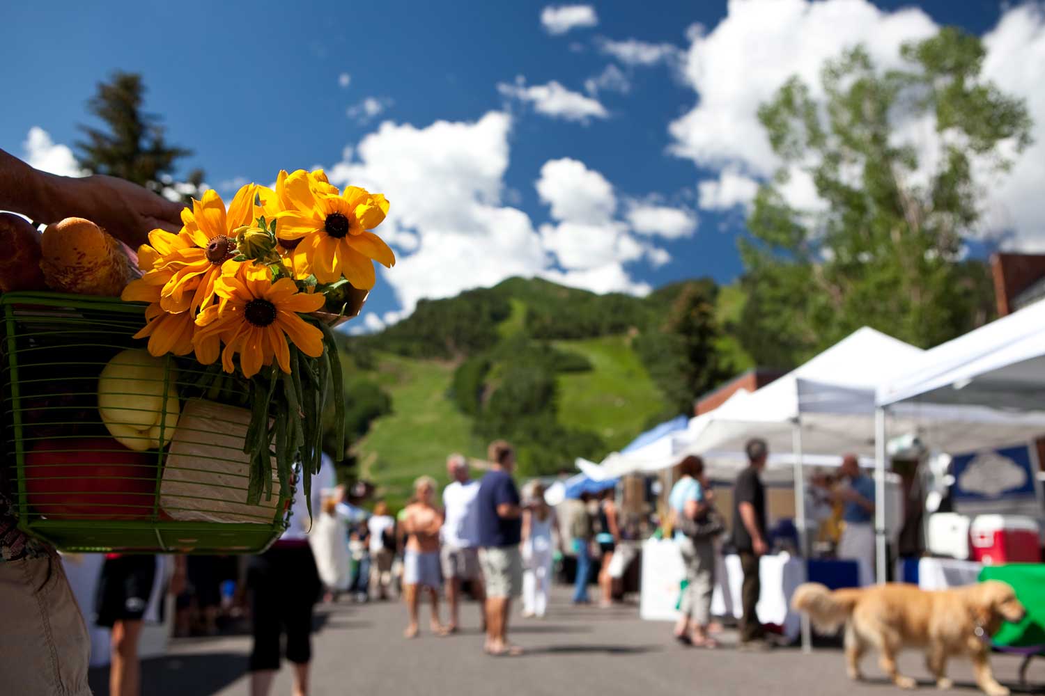 Shop Farmers' Markets & Stores for ColoradoMade Goods